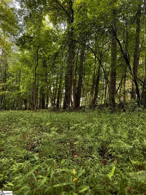 2 Old Mill Road, Easley, SC 29642 photo 10