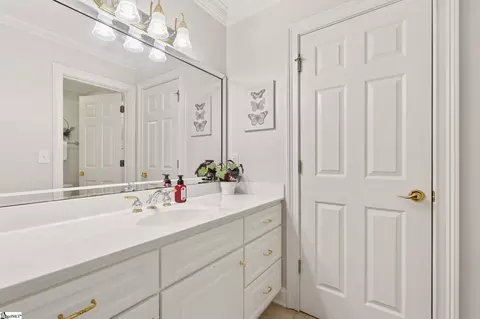 Bath - 210 Steadman Way, Greer, SC 29650 photo 5 of 7