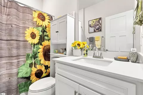 Bath - 117 Whitman Way, Easley, SC 29642 photo 2 of 3