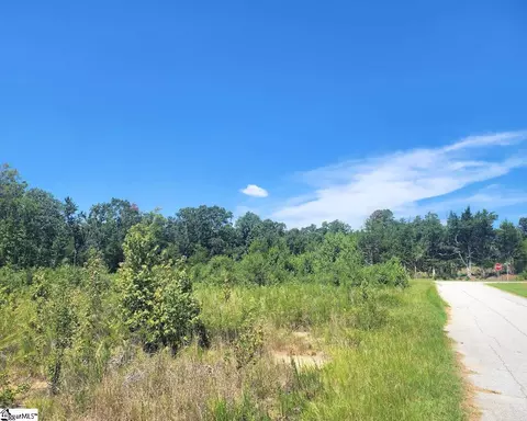 Undisclosed, Enoree, SC 29335 photo 5