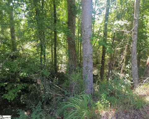 Undisclosed, Enoree, SC 29335 photo 3