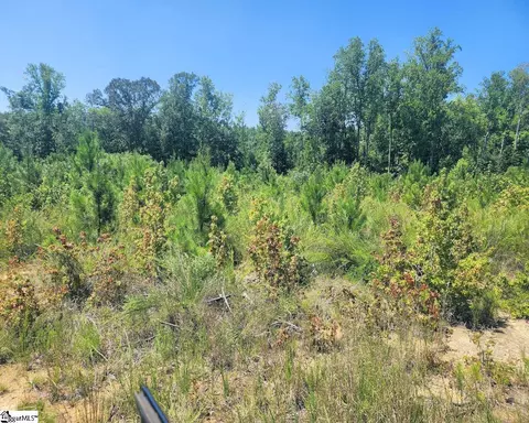 Undisclosed, Enoree, SC 29335 photo 7