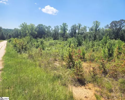 Undisclosed, Enoree, SC 29335 photo 8