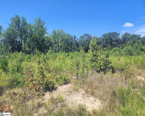 Undisclosed, Enoree, SC 29335 photo 6