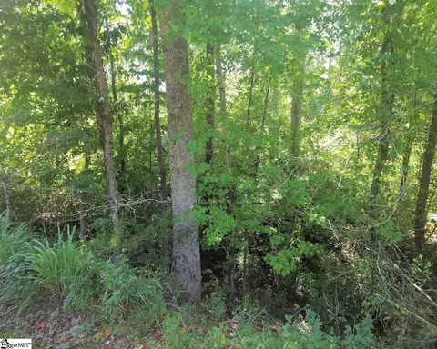 Undisclosed, Enoree, SC 29335 photo 2