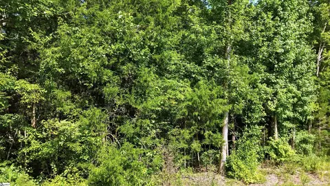 00 Ecliptic Dr #LOT S 8-9, Ware Shoals, SC 29692 photo 20