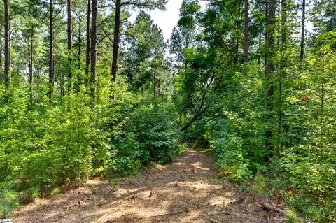 00 Todd Rd, Honea Path, SC 29654 photo 15