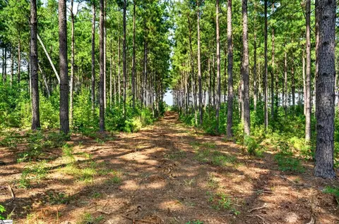 00 Todd Rd, Honea Path, SC 29654 photo 7