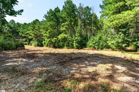 00 Todd Rd, Honea Path, SC 29654 photo 9