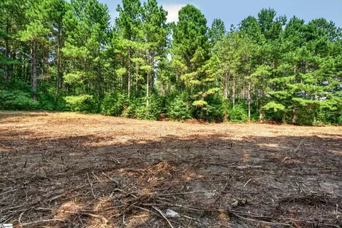 00 Todd Rd, Honea Path, SC 29654 photo 12