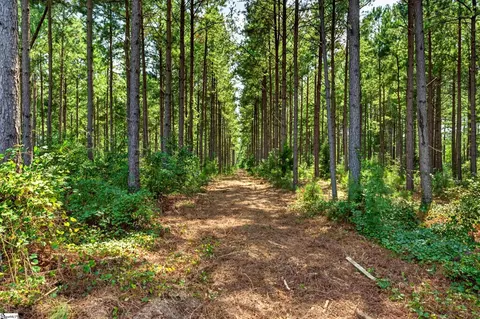 00 Todd Rd, Honea Path, SC 29654 photo 6