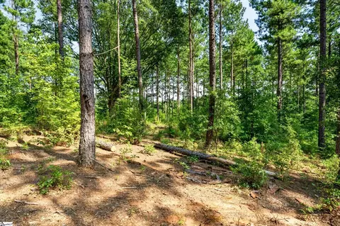00 Todd Rd, Honea Path, SC 29654 photo 16