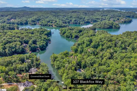 View/Area - 107 Blackfox Way, Sunset, SC 29685 photo 4 of 9