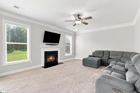 Living - 274 Braselton St, Greer, SC 29651 photo 1 of 2