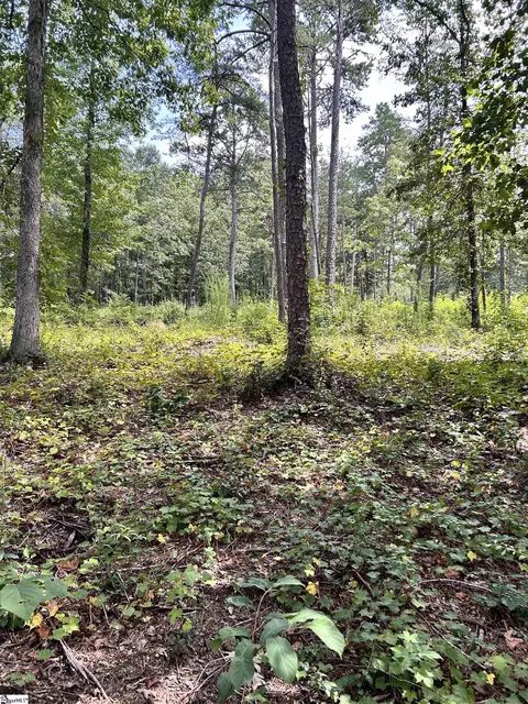 Undisclosed, Seneca, SC 29672 photo 6