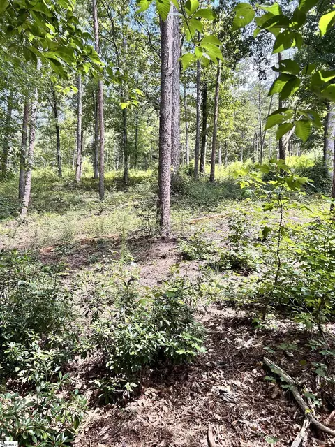 Undisclosed, Seneca, SC 29672 photo 11