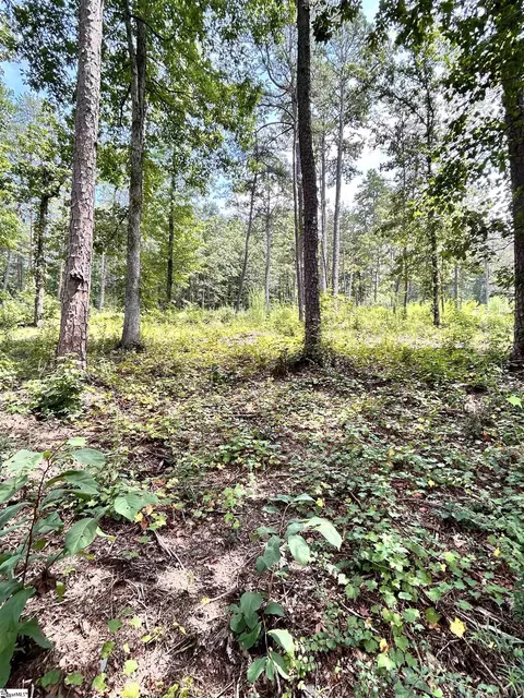 Undisclosed, Seneca, SC 29672 photo 7