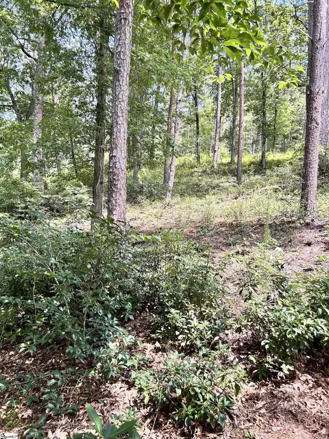 Undisclosed, Seneca, SC 29672 photo 12