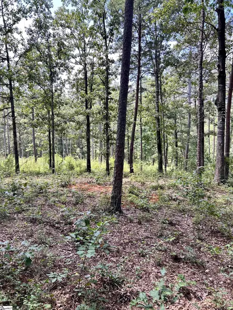 Undisclosed, Seneca, SC 29672 photo 5