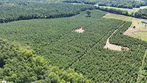 00 Young Rd, Clinton, SC 29325 photo 15