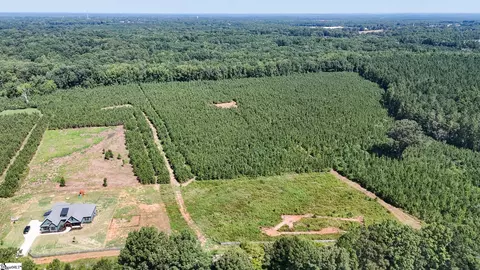 00 Young Rd, Clinton, SC 29325 photo 13