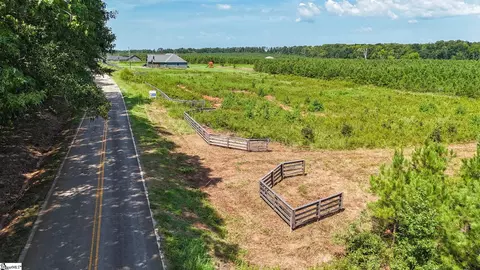 00 Young Rd, Clinton, SC 29325 photo 3