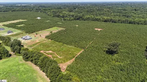 00 Young Rd, Clinton, SC 29325 photo 14