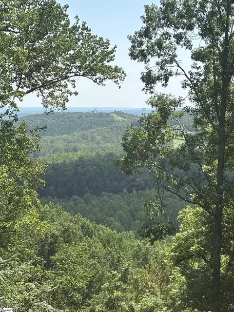 7 Angleblade Rd, Landrum, SC 29356 photo 3