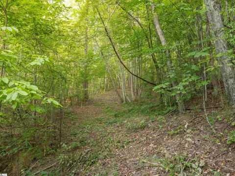 00 Anthony Rd, Pickens, SC 29671 photo 17