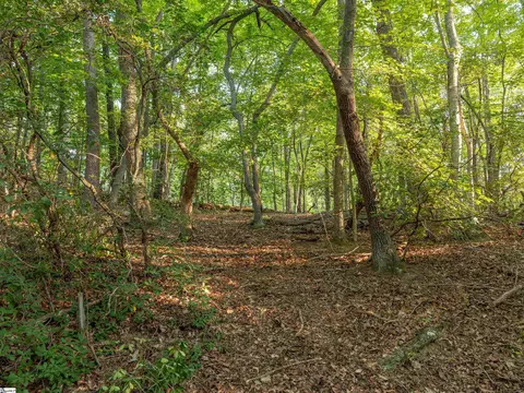 00 Anthony Rd, Pickens, SC 29671 photo 14