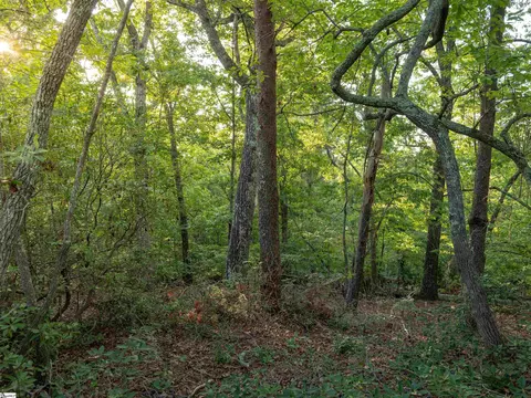 00 Anthony Rd, Pickens, SC 29671 photo 9