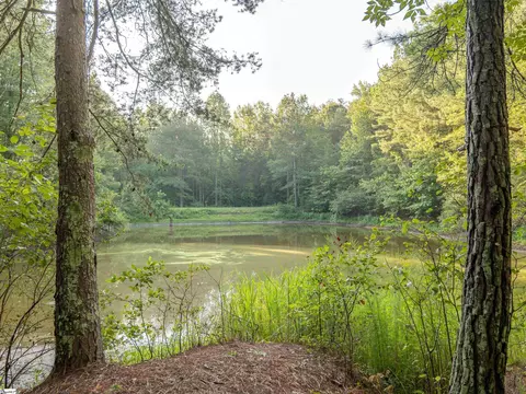 00 Anthony Rd, Pickens, SC 29671 photo 20