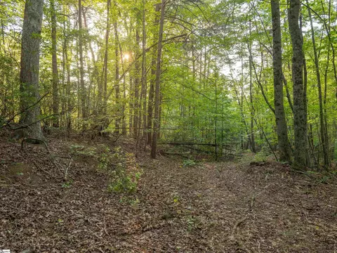 00 Anthony Rd, Pickens, SC 29671 photo 13