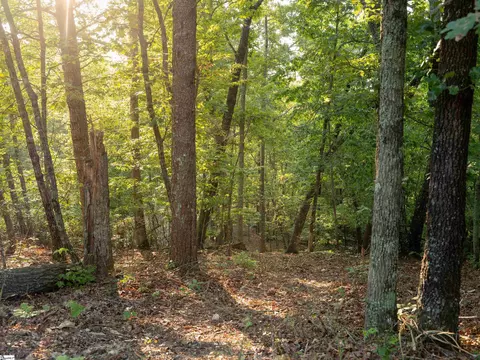 00 Anthony Rd, Pickens, SC 29671 photo 11
