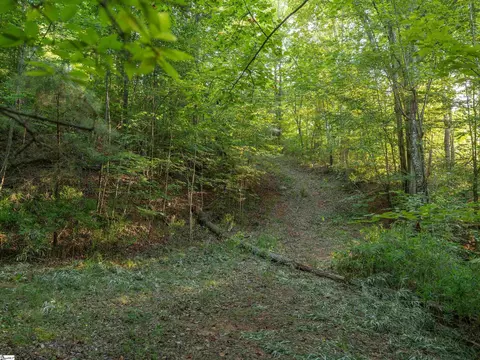 00 Anthony Rd, Pickens, SC 29671 photo 16