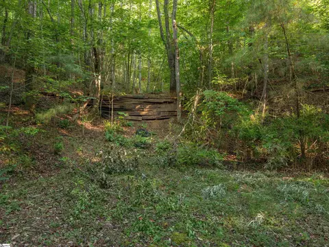 00 Anthony Rd, Pickens, SC 29671 photo 15