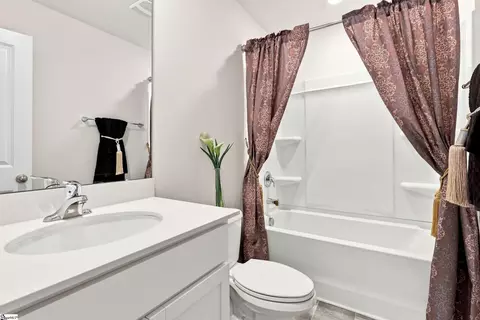 Bath - 105 Rustic Ridge Dr, Easley, SC 29640 photo 2 of 3