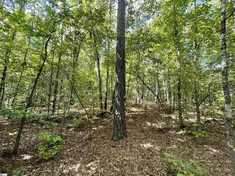 00 Riverfork Rd, Waterloo, SC 29384 photo 31