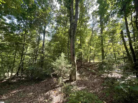 00 Riverfork Rd, Waterloo, SC 29384 photo 20