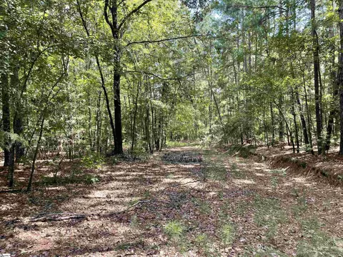 00 Riverfork Rd, Waterloo, SC 29384 photo 16
