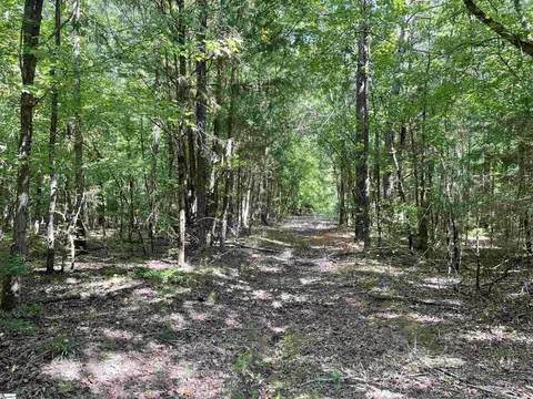 00 Riverfork Rd, Waterloo, SC 29384 photo 18