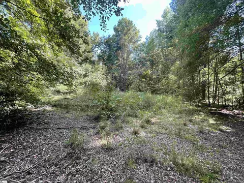 00 Riverfork Rd, Waterloo, SC 29384 photo 19