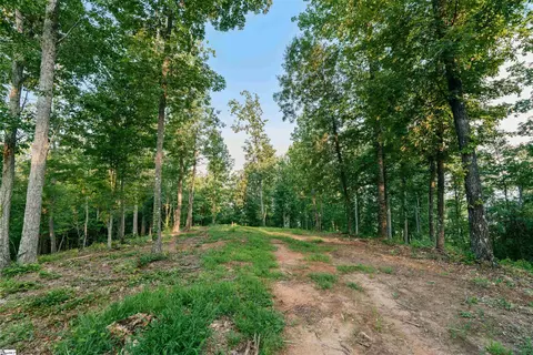 200 Chestnut Mountain Rd #LOT 1, Travelers Rest, SC 29690