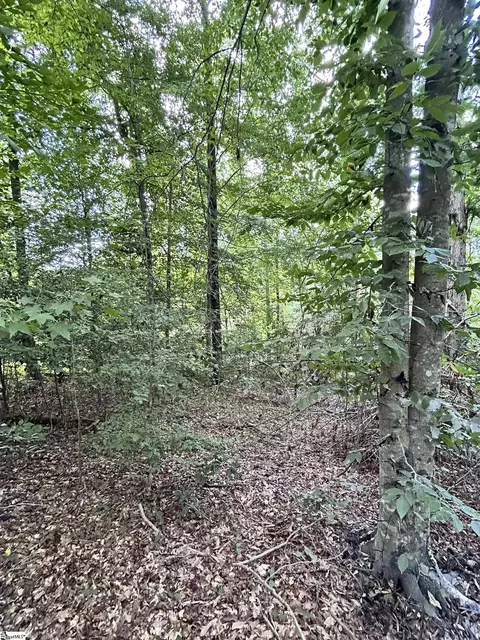 Undisclosed, Greer, SC 29650 photo 9