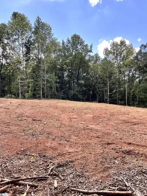 Undisclosed, Greer, SC 29650 photo 11
