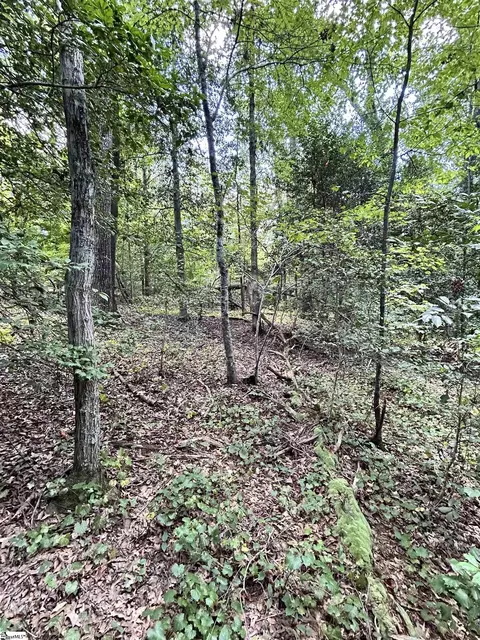 Undisclosed, Greer, SC 29650 photo 8