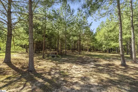 242 Mattie Campbell Rd, Honea Path, SC 29654 photo 31