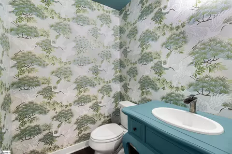 Bath - 216 Edwin Ellis Dr, Greer, SC 29651 photo 1 of 3