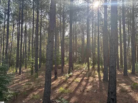 102 Todd Rd, Honea Path, SC 29654 photo 36