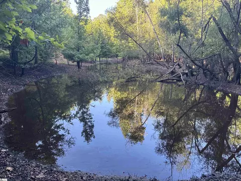 102 Todd Rd, Honea Path, SC 29654 photo 27